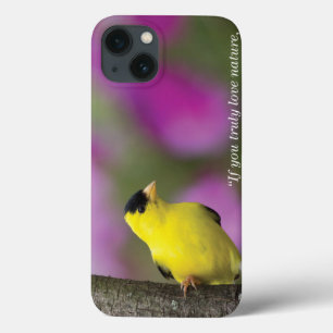 Coques Pour iPhone Goldfinch