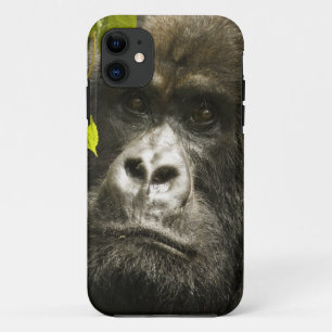 Coque Case-Mate Pour iPhone Gorille des montagnes, Gorilla beringei beringei,