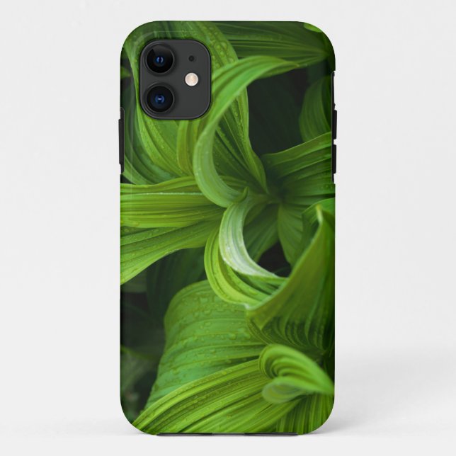 Coques Case-Mate iPhone Gouttes de rosée sur un Helabore faux (Dos)