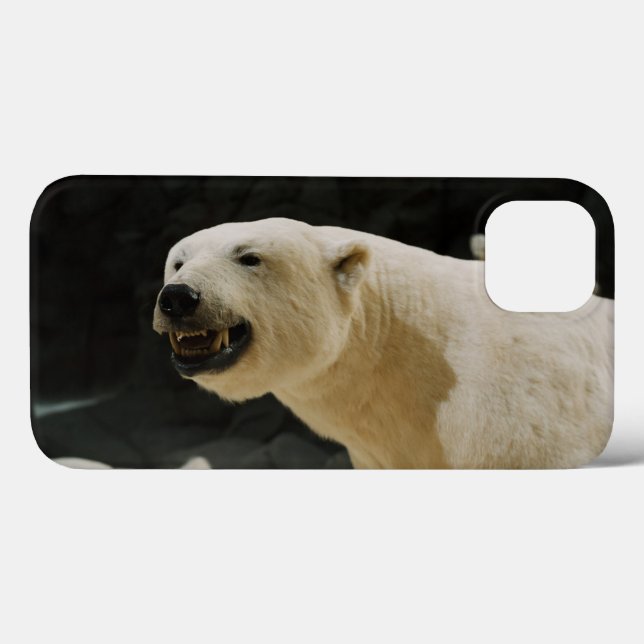 Coques Case-Mate iPhone Graine d'ours polaire (Verso (horizontal))