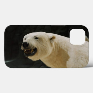 Etui iPhone 13 Graine d'ours polaire