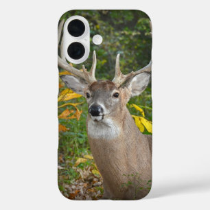 Coque Pour iPhone 16 Grand Buck dans les bois