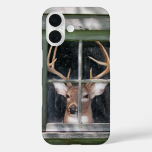 Coque Pour iPhone 16 grand buck dans une fenêtre rustique