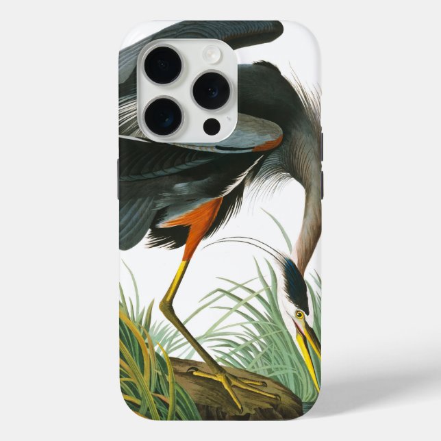 Coques Case-Mate iPhone Grand héron bleu par John James Audubon (Verso)