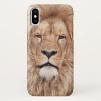 Grand Lion Chat Roi d'Afrique