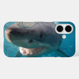 Coque Pour iPhone 16 Grand requin blanc