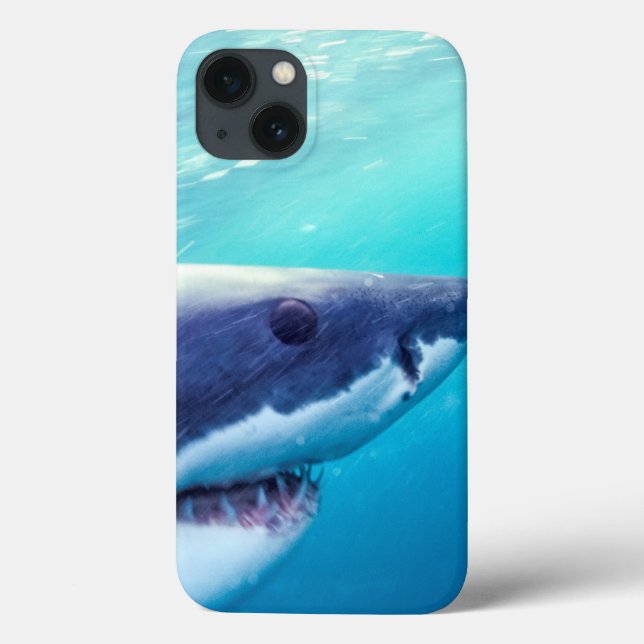 Coques Case-Mate iPhone Grand requin blanc| Afrique du Sud (Verso)