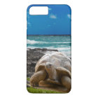 Grande tortue au bord de mer