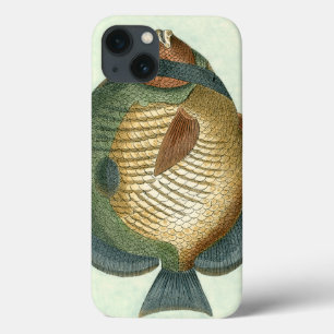 Etui iPhone 13 Grands poissons colorés