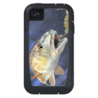 Grève de rougets communs