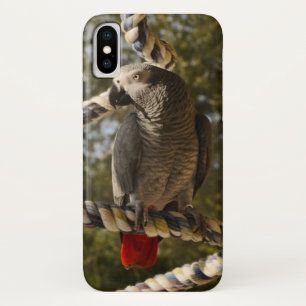 Coque iPhone X Gris africain du Congo sur une oscillation