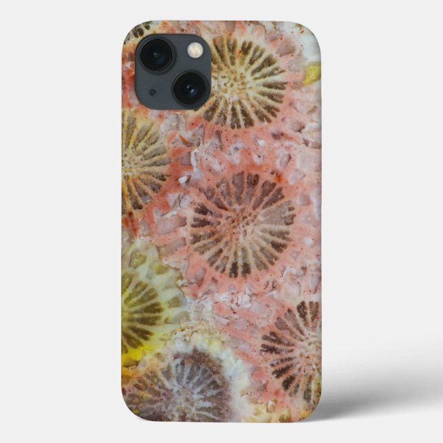 Coques Case-Mate iPhone Gros plan de corail rose (Verso)