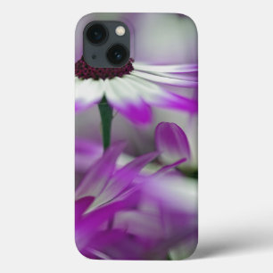 iPhone 13 Coque Gros plan de fleur violette, jardin Keukenhof,