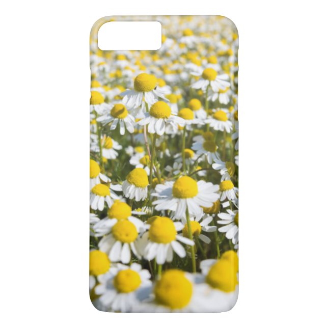 Coques Case-Mate iPhone Gros plan de la fleur chamomile, Hongrie (Dos)