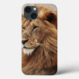 Case-Mate iPhone Case Gros plan de lion mâle