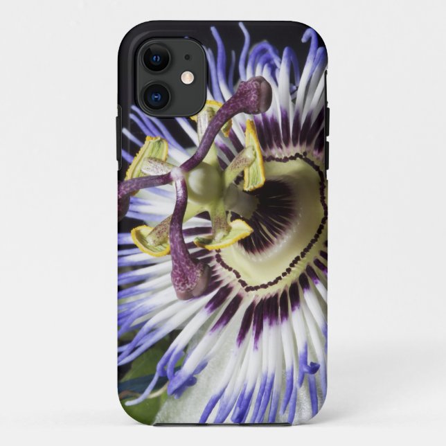 Coques Case-Mate iPhone Gros plan de Passionflower (MR) (Dos)