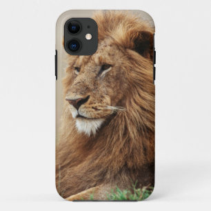 Coque iPhone 11 Gros plan du lion mâle