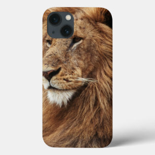 Etui iPhone Case-Mate Gros plan du lion mâle