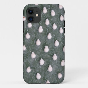 Coque iPhone 11 Gros plan Plante Cactus Photo iPhone SE + iPhone 5