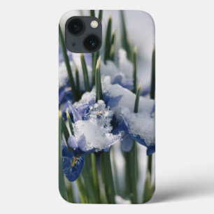 Case-Mate iPhone Case Gros plan sur Iris