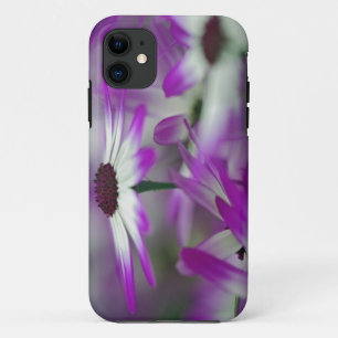 Etui iPhone Case-Mate Gros plan sur une fleur violette, jardin Keukenhof