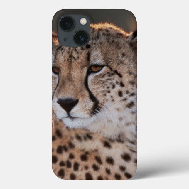 Coques Case-Mate iPhone Guépard regardant loin (Verso)