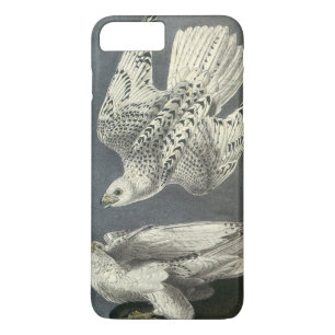 Coque Case-Mate Pour iPhone Gyrfalcon par Audubon