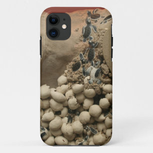 Coque Case-Mate Pour iPhone Hachure d'oeufs de tortue de bébé