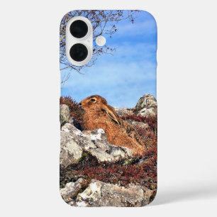 COQUE POUR iPhone 16 HARE