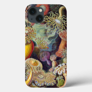 Case-Mate iPhone Case Heckel Actiniae Impression Vintage