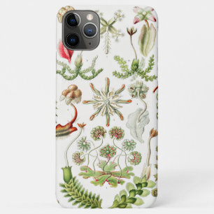 Case-Mate iPhone Case Hepaticae Hépatiques par Ernst Haeckel
