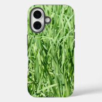Herbe verte