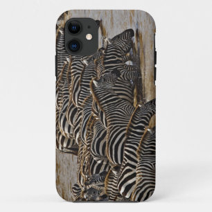 Case-Mate iPhone Case Herd of Burchell's Zebras boire de Mara