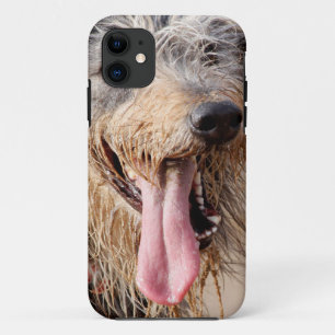 Coque iPhone 11 Heureux chien sur une plage