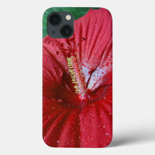 iPhone 13 Case Hibiscus rouge avec gouttes de pluie