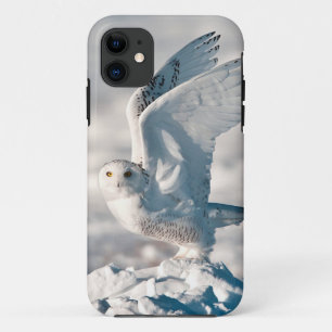Case-Mate iPhone Case Hibou des neiges décollant de la neige