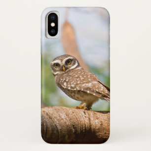 Coques Pour iPhone Hibou repéré sur le vol de matin