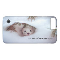 Hiver - Weasel à queue courte