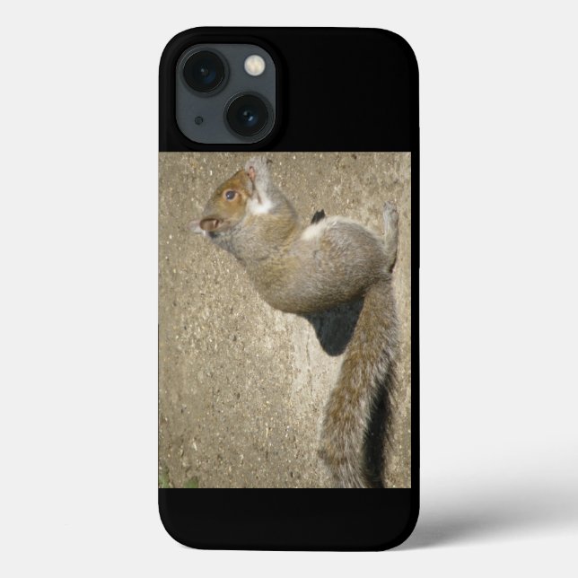 Coques Case-Mate iPhone Horatio affamé d'écureuil (Verso)