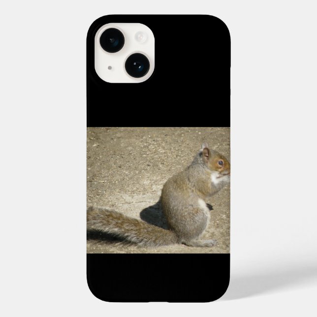 Coques Case-Mate iPhone Horatio affamé d'écureuil (Verso)