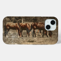 Horse Farm Pays Vintage Rustique Ouest