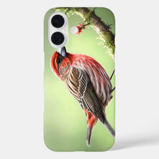 COQUE POUR iPhone 16 HOUSE FINCH BIRD AVIAN BACKYARD