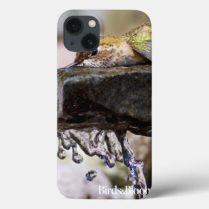 iPhone 13 Case Hummingbird  Laying in Water