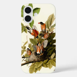 Coque Pour iPhone 16 Illustration Audubon American Robin Wildlife Bird