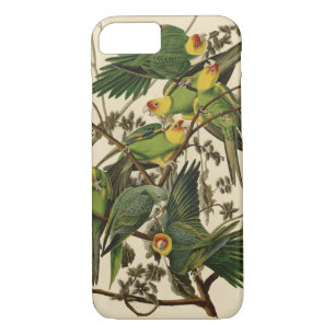 Coque iPhone 8/7 Illustration Audubon Carolina Parrot Bird