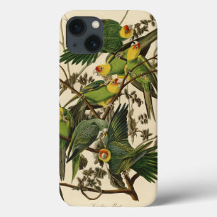 iPhone 13 Case Illustration Audubon Carolina Parrot Bird