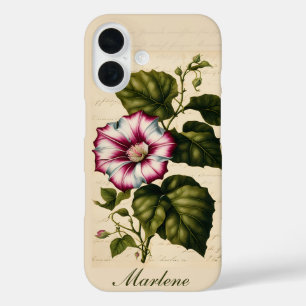 Coque Pour iPhone 16 Illustration botanique de la belle-de-jour