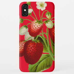 Case-Mate iPhone Case Illustration botanique des fraises Vintages