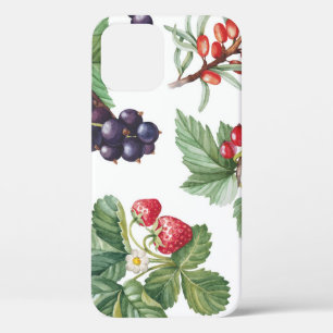 Case-Mate iPhone Case Illustration des baies d'aquarelle Motif sans join