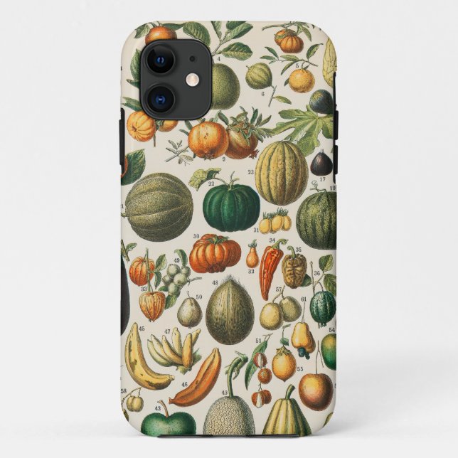 Coques Case-Mate iPhone Illustration scientifique végétale des fruits (Dos)
